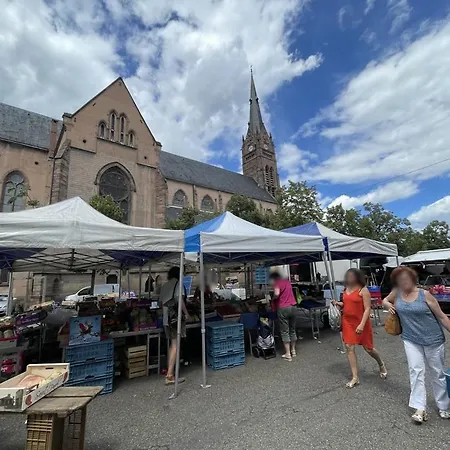 Riedheim - Colmar Proche Gare - Charme, Confort Et Calme